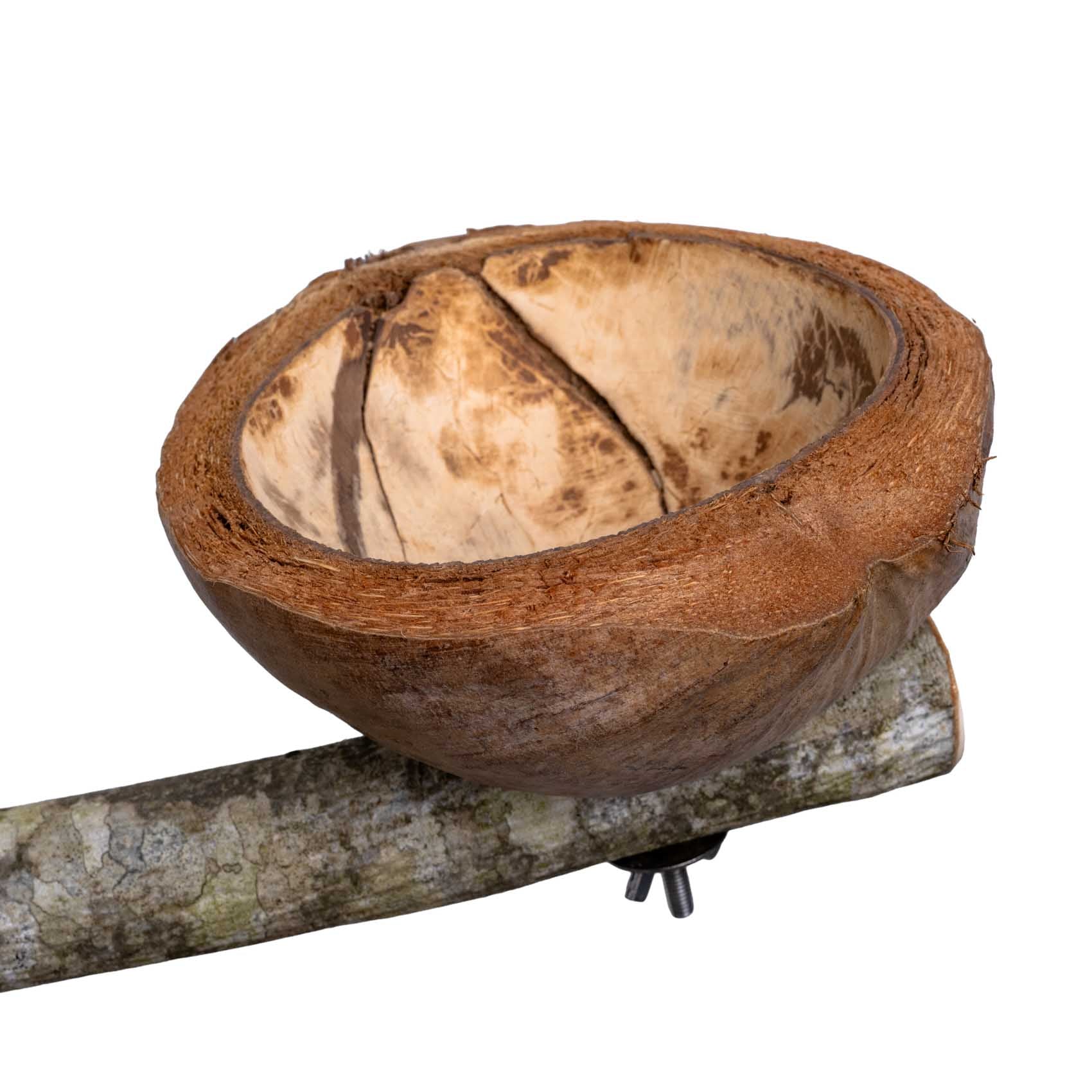 rico-s-futterkiste-sitzast-futterschale-kokosnuss-papagei image 2