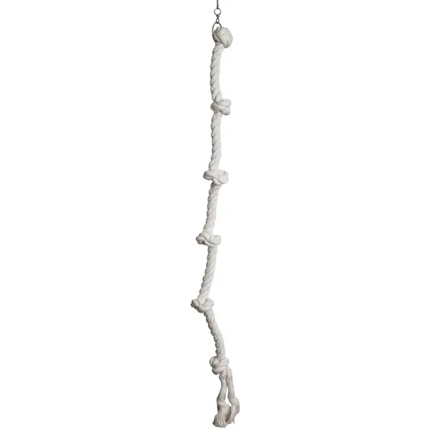nobby-baumwollseil-6-knoten-lang-100-cm-vogelseil-sittich-papagei image 1