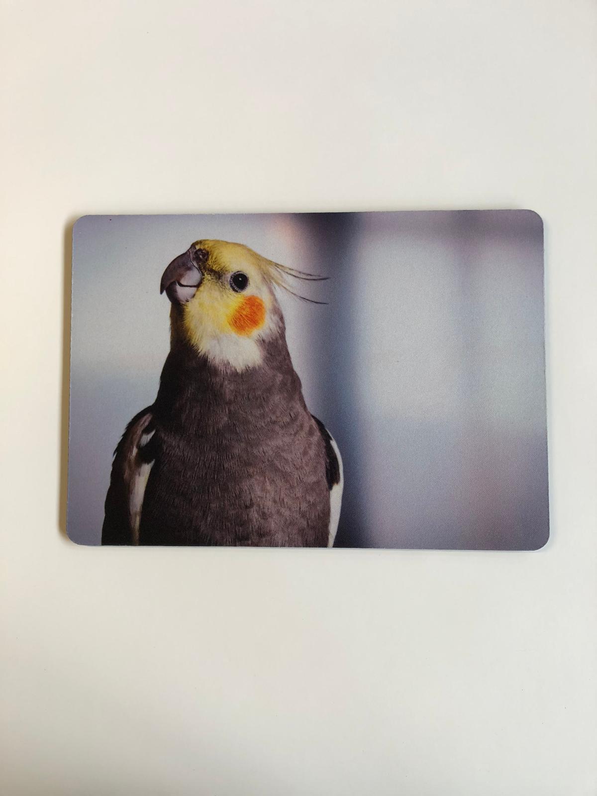 rico-s-futterkiste-tk09-mousepad-nymphensittich-27x19-cm-motiv image 1