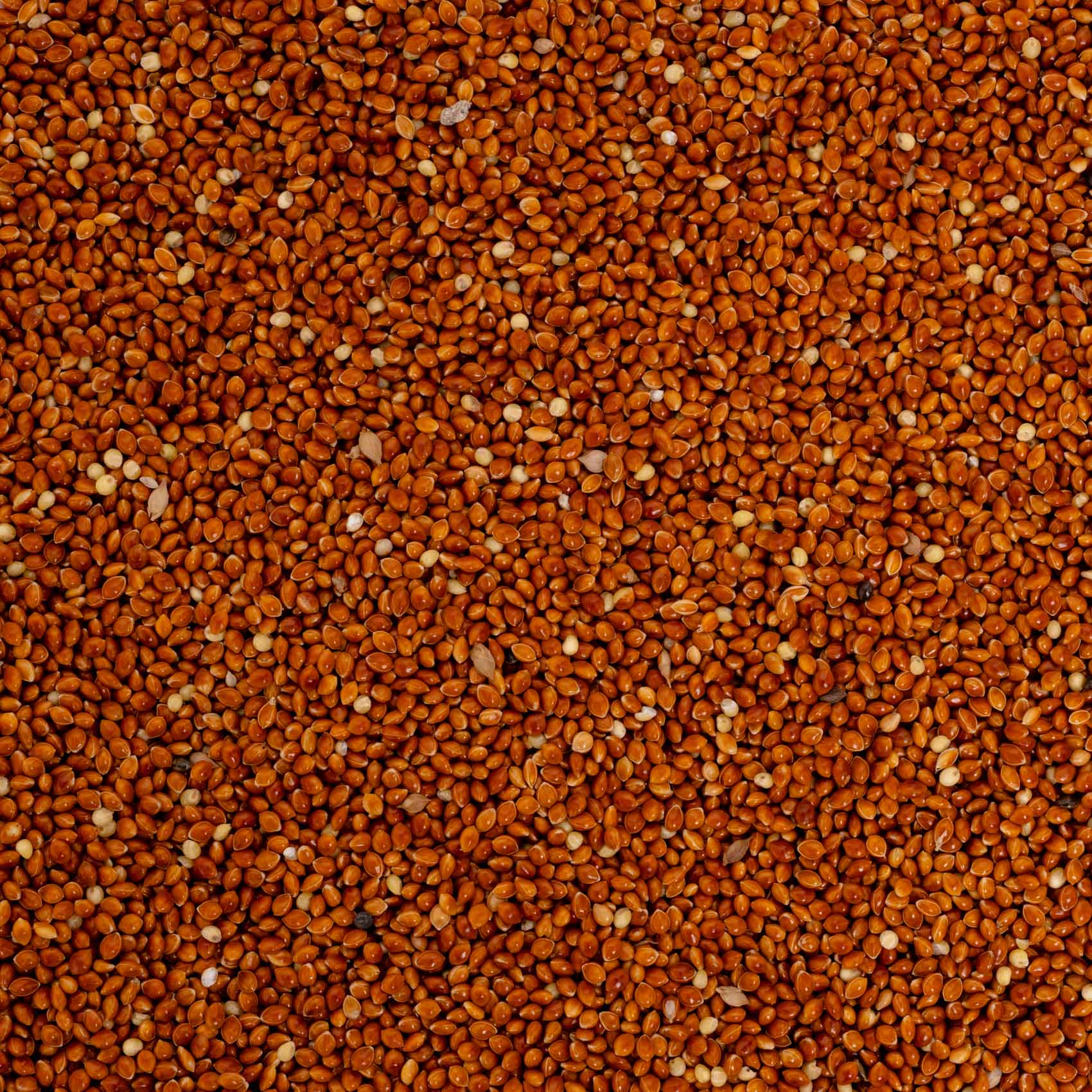 rico-s-futterkiste-rote-hirse-vogelfutter-500-g-lose image 2