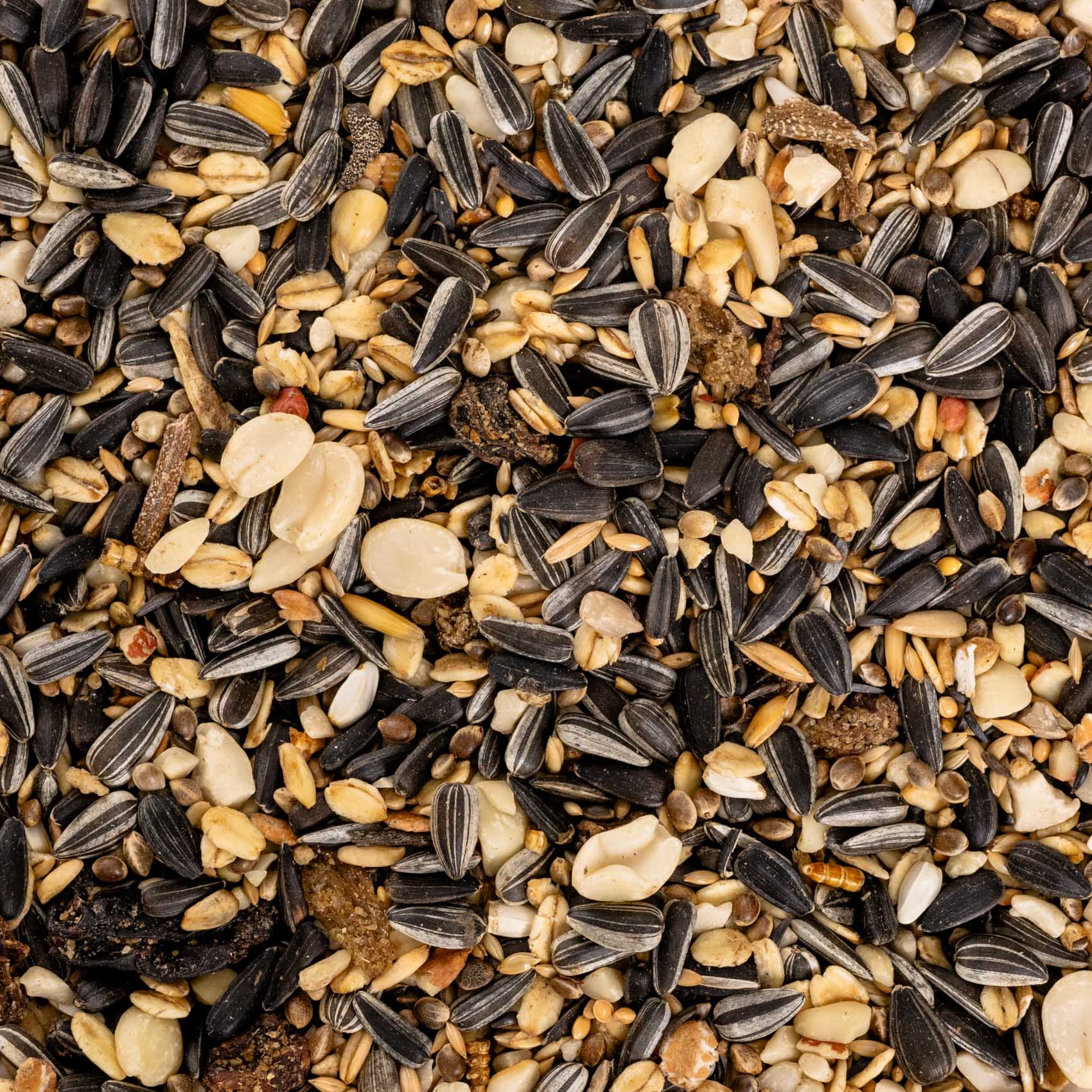rico-s-futterkiste-wildvogelfutter-premium-vogelfutter-1-kg-ganzjahres image 2