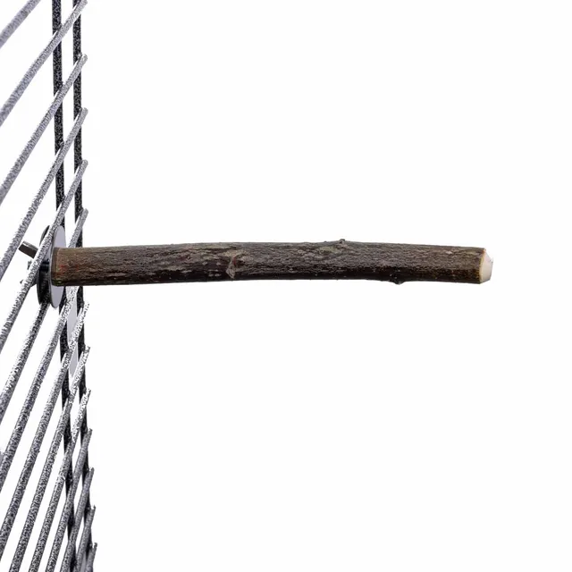 rico-s-futterkiste-volierenzubeh-r-natur-sitzstange-sittich-gerade-20-cm image 1