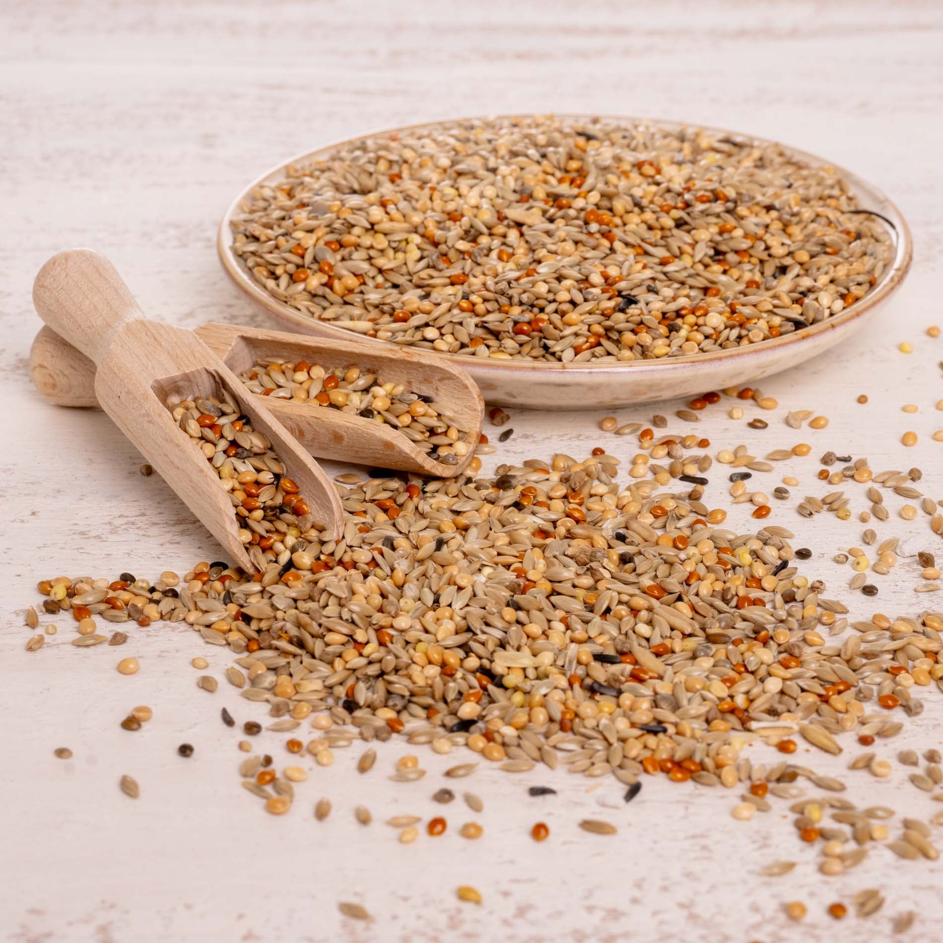 rico-s-futterkiste-wellensittich-spezial-1-sittichfutter-1-kg-12-saaten image 4