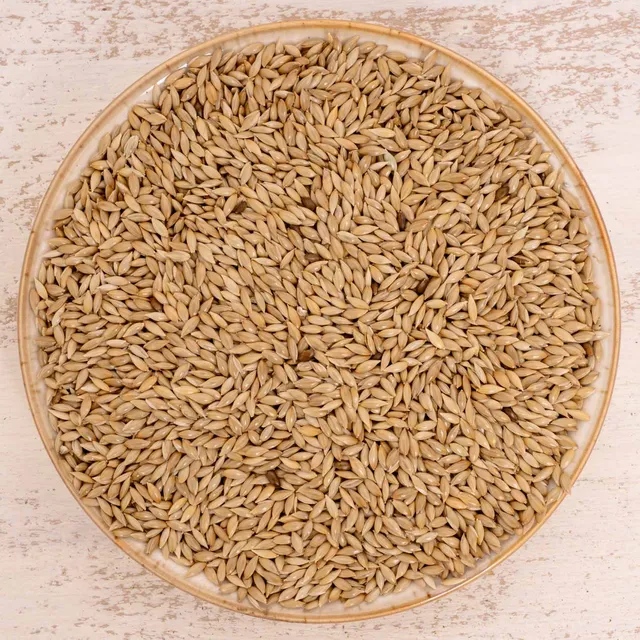 rico-s-futterkiste-einzelsaaten-kanariensaat-vogelfutter-500-g-proteinreich image 1