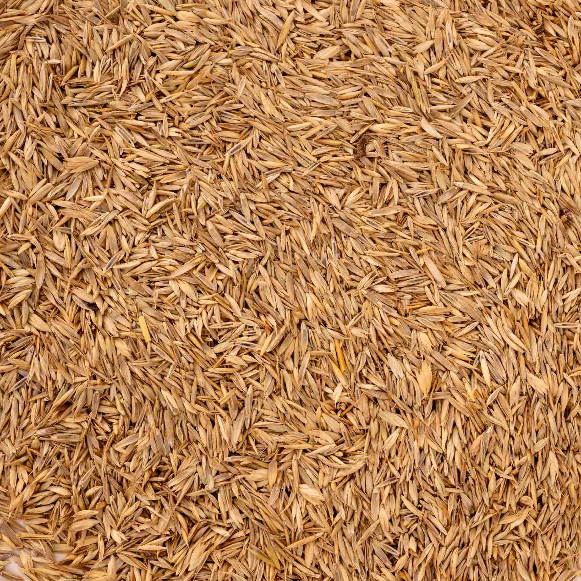 rico-s-futterkiste-gras-samen-vogelfutter-mix-250-g-kalorienarm image 2