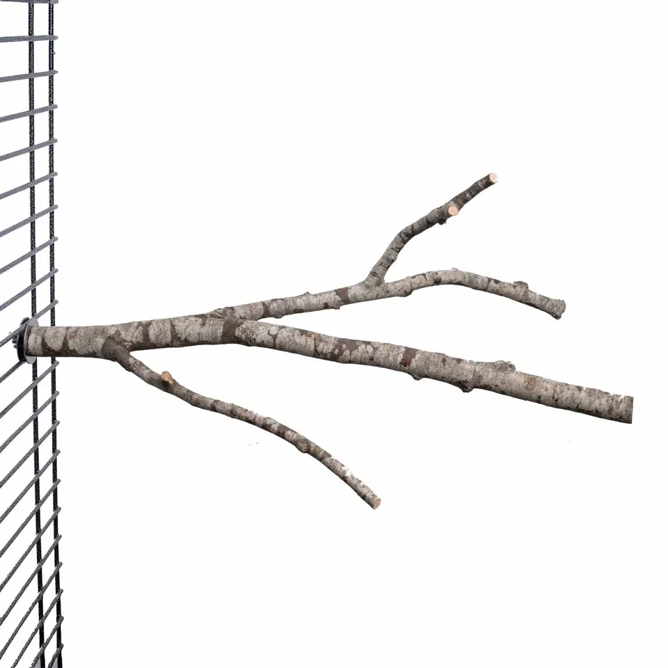 rico-s-futterkiste-sitzast-verzweigt-mittel-naturholz-40-50cm image 1