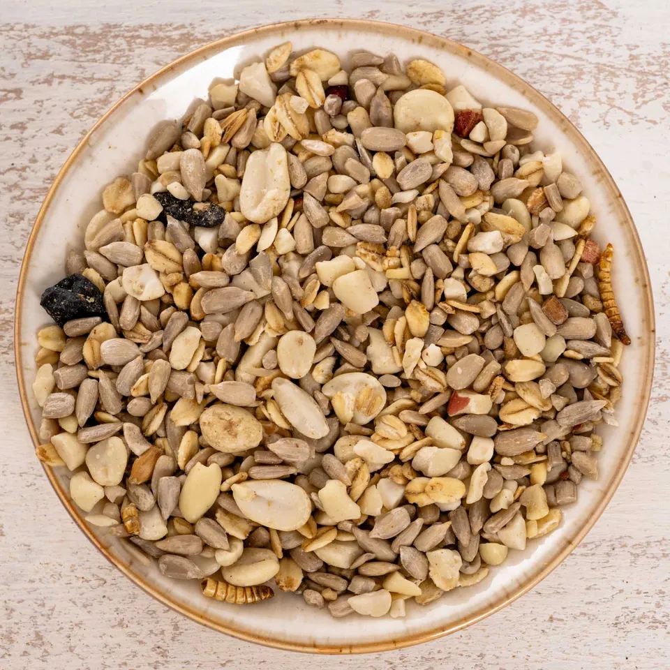 rico-s-futterkiste-futtermittel-wildvogelfutter-schalenlos-1-kg image 1