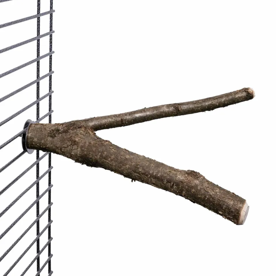 rico-s-futterkiste-astgabel-gro-sitzstange-papageien-30-cm image 1