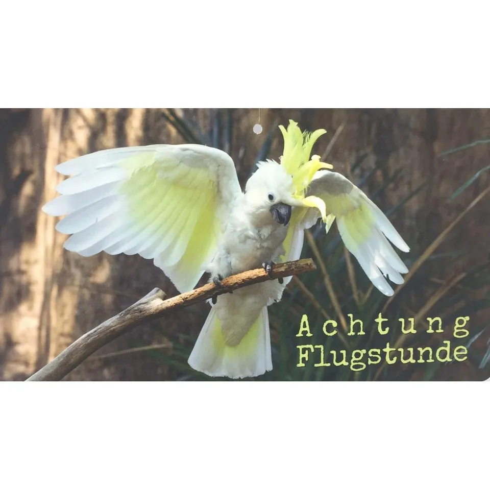 rico-s-futterkiste-fo3-af-schild-achtung-flugstunde-20x35cm image 1