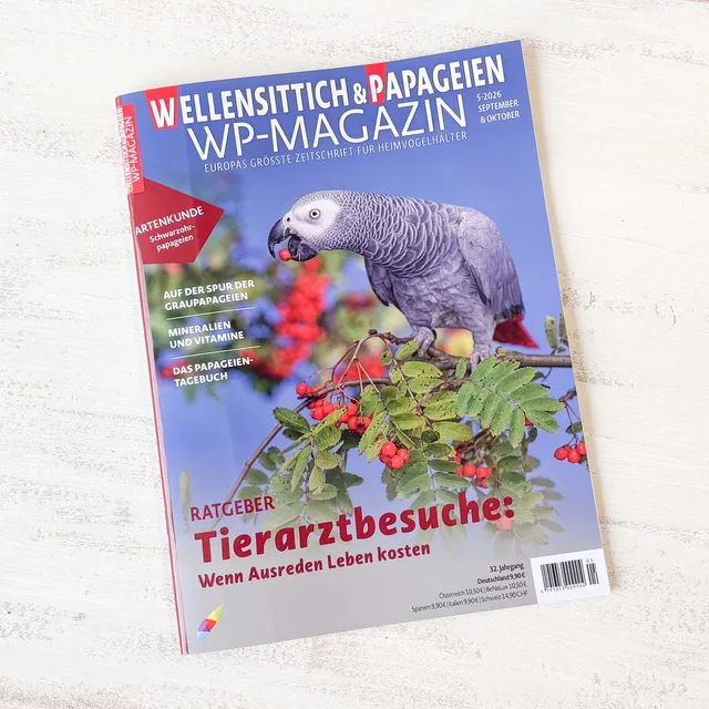 rico-s-futterkiste-wp-magazin-wellensittich-papagei-ausgabe image 1