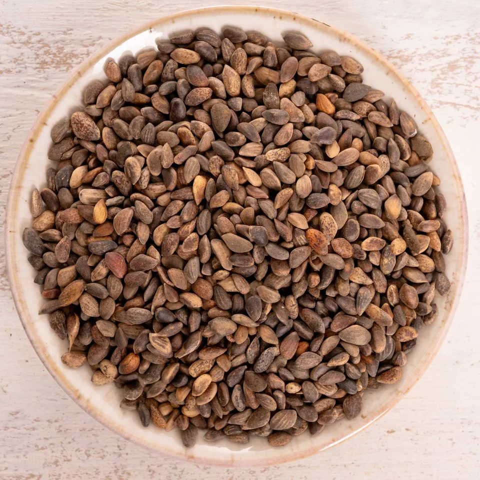 rico-s-futterkiste-einzelsaaten-baumsaat-vogelfutter-100-g-kiefernsaat image 1