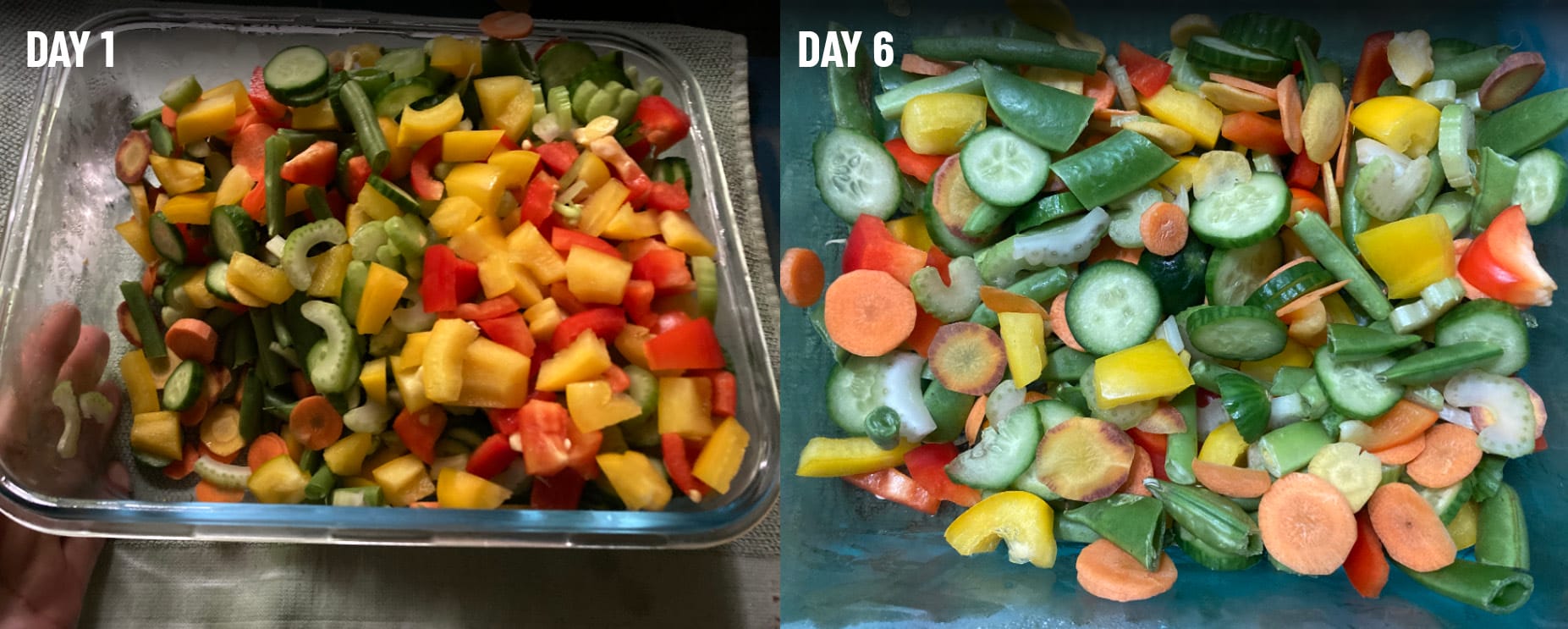 harrison-stay-fresh-food-preserver-schutzgas-vogelfutter image 3