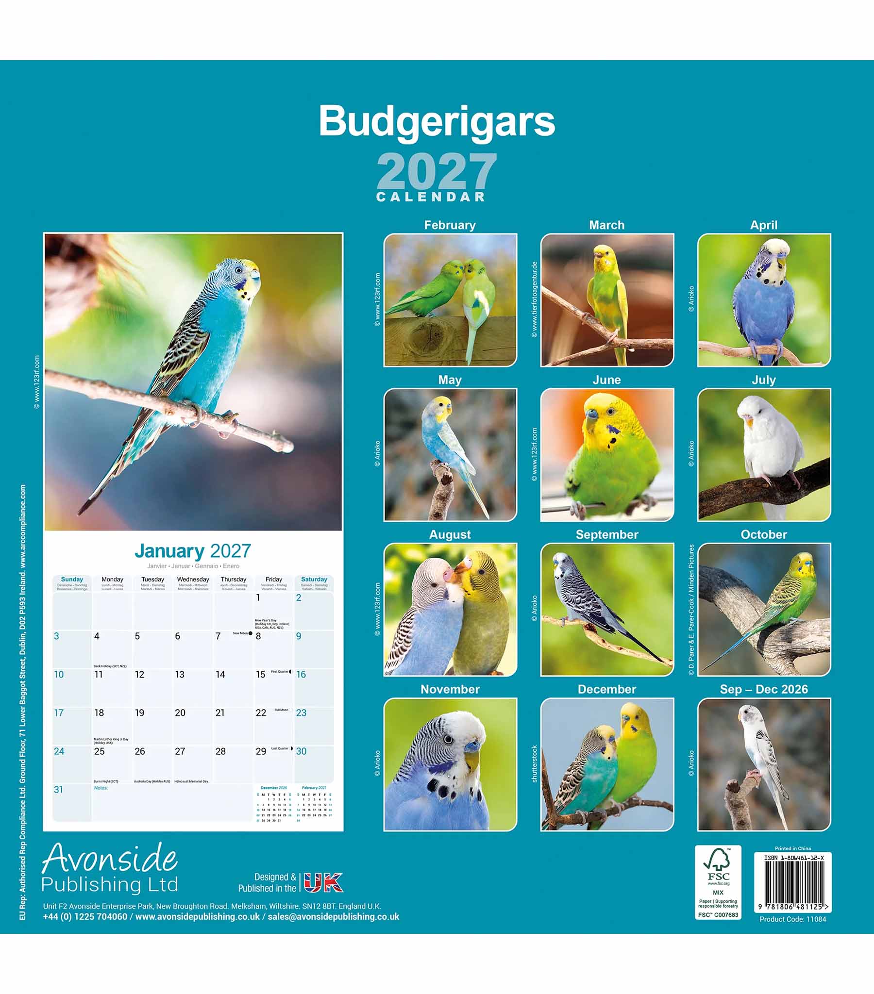 rico-s-futterkiste-wellensittiche-kalender-2027-wandkalender-16-monate image 2