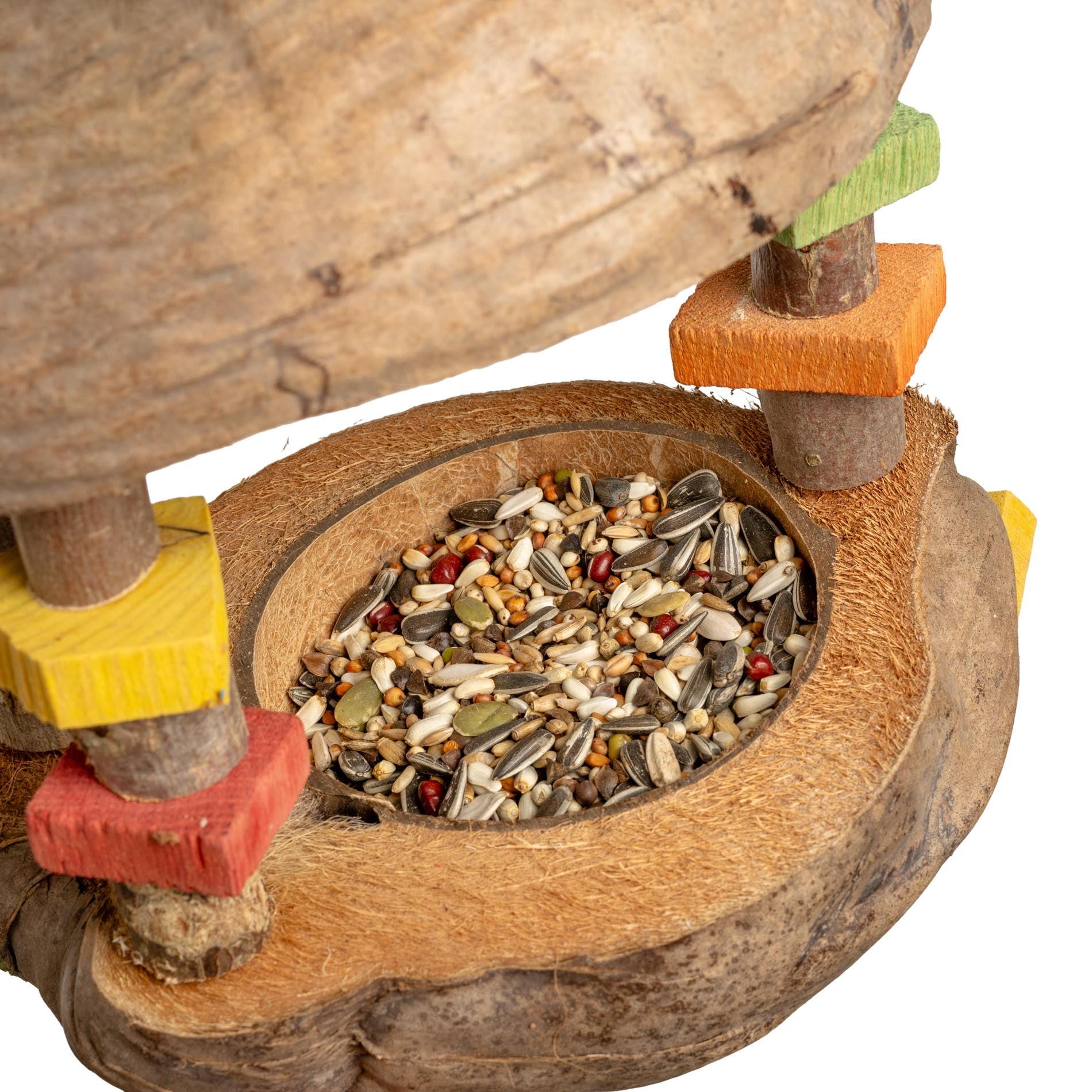 rico-s-futterkiste-kokosh-uschen-futterschale-papageienspielzeug image 3