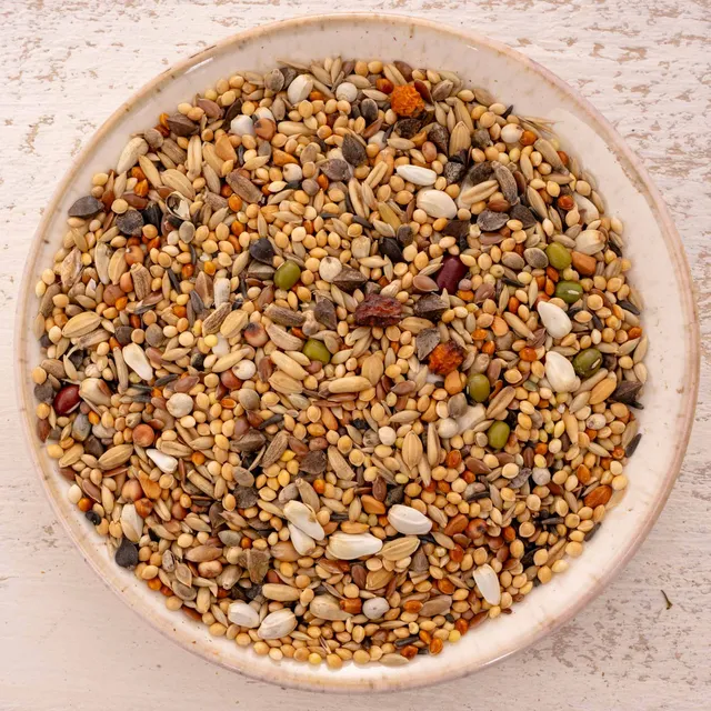 rico-s-futterkiste-gro-sittich-spezial-3-k-rnermischung-1-kg-ohne-sonnenblumen image 1