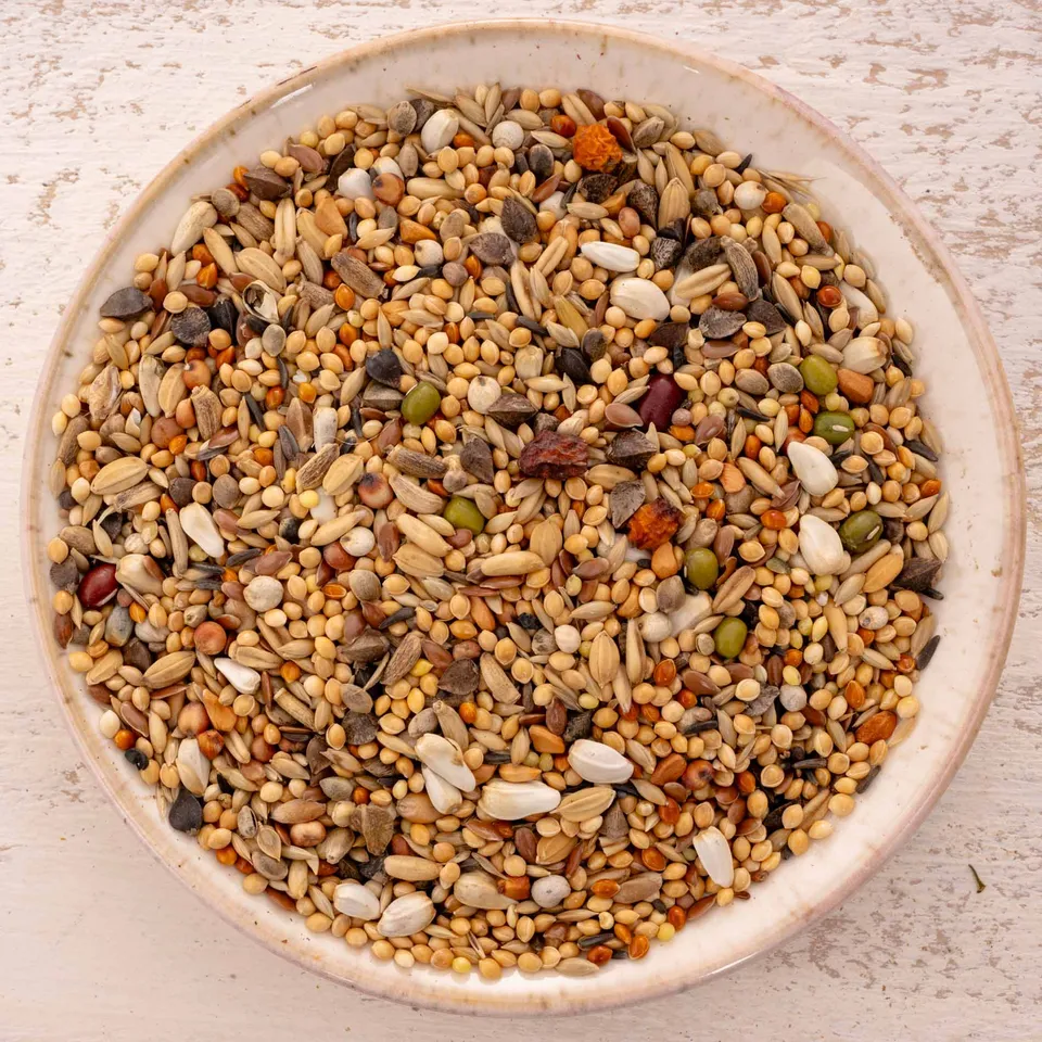 rico-s-futterkiste-gro-sittich-spezial-3-k-rnermischung-1-kg-ohne-sonnenblumen image 1