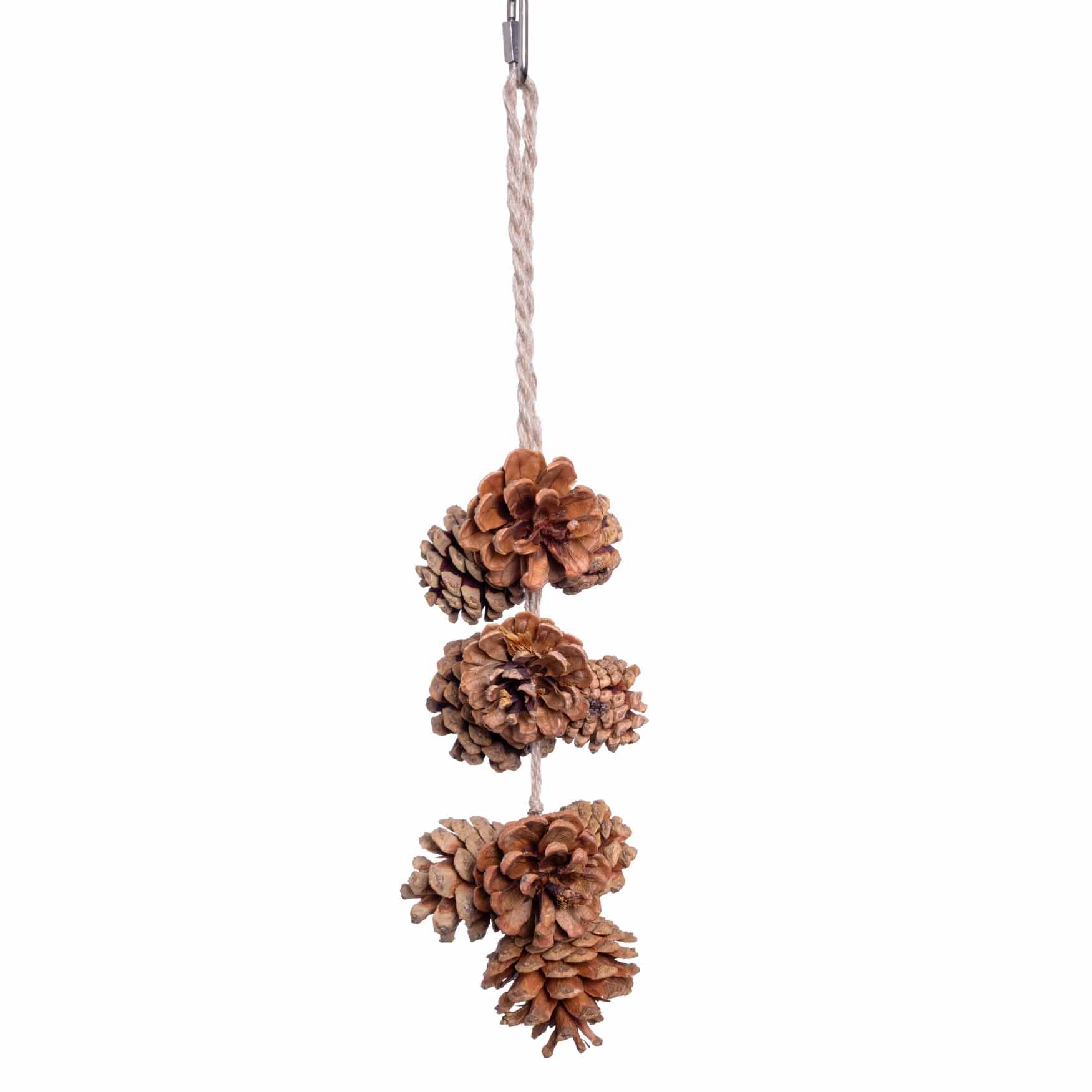 rico-s-futterkiste-kiefernzapfengirlande-natur-11x40-cm image 1