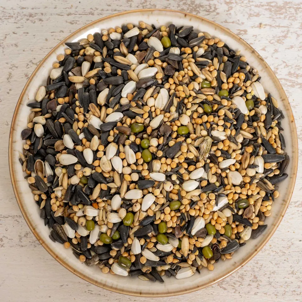 rico-s-futterkiste-keimfutter-kleinsittiche-vogelfutter-500g image 1