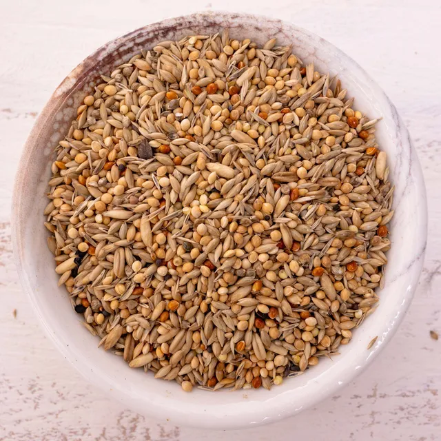 rico-s-futterkiste-wellensittich-spezial-2-futter-500-g-26-saaten image 1