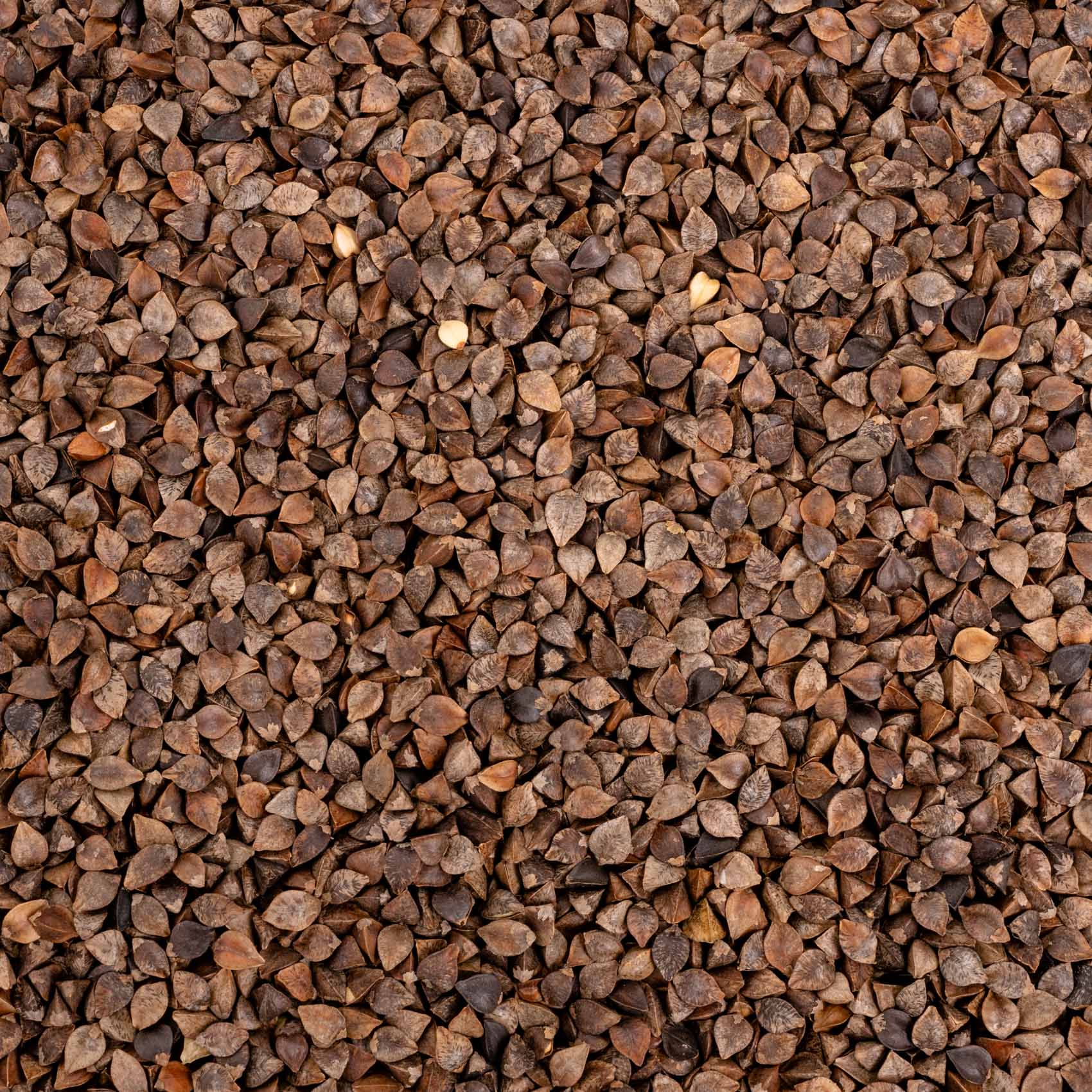 rico-s-futterkiste-einzelsaaten-buchweizen-vogelfutter-500-g-glutenfrei image 2