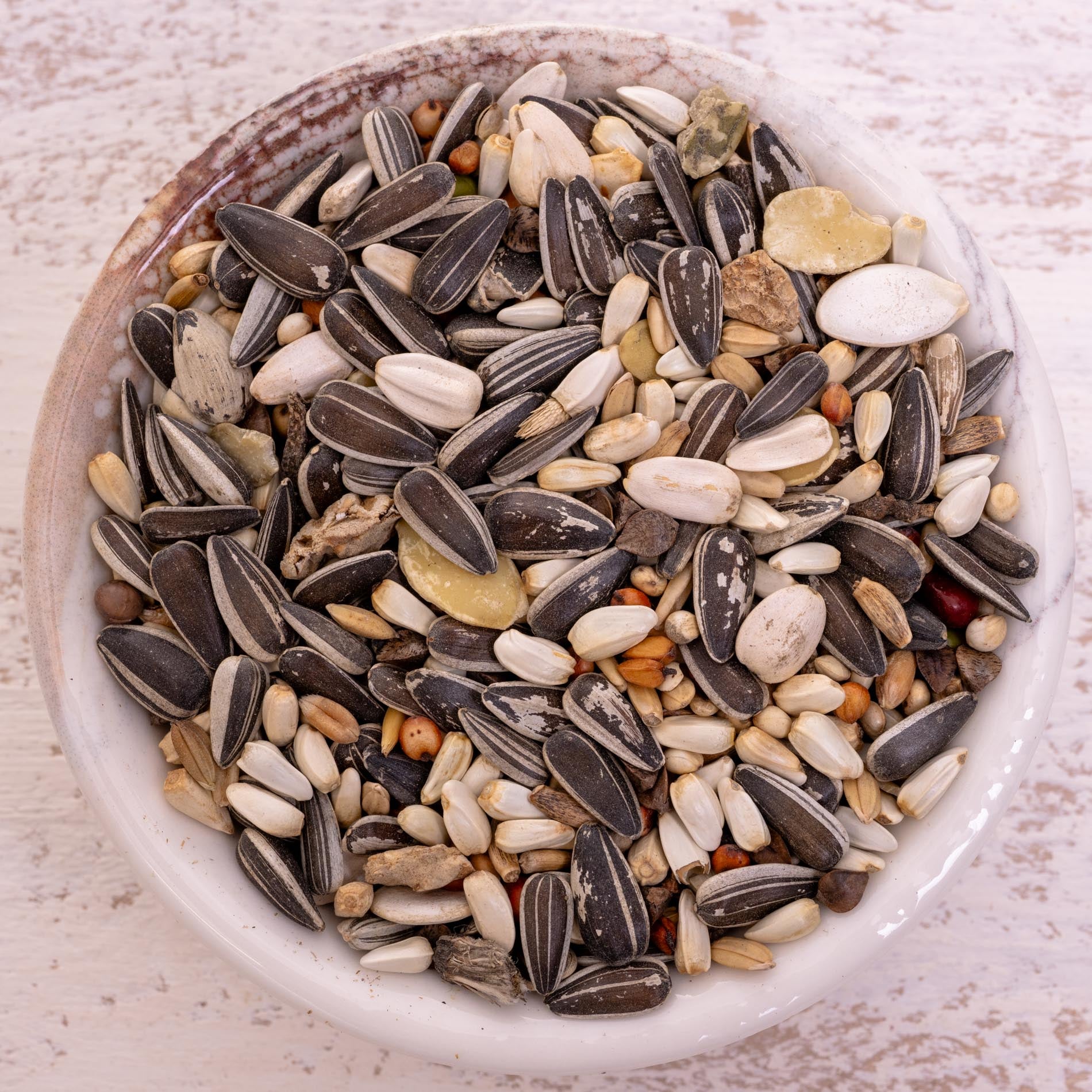 rico-s-graupapagei-spezial-2-k-rnerfutter-1-kg image 1