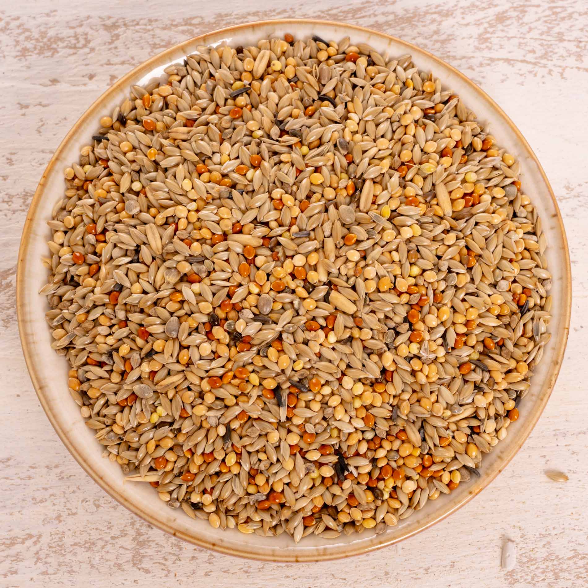 rico-s-futterkiste-wellensittich-spezial-1-sittichfutter-1-kg-12-saaten image 1