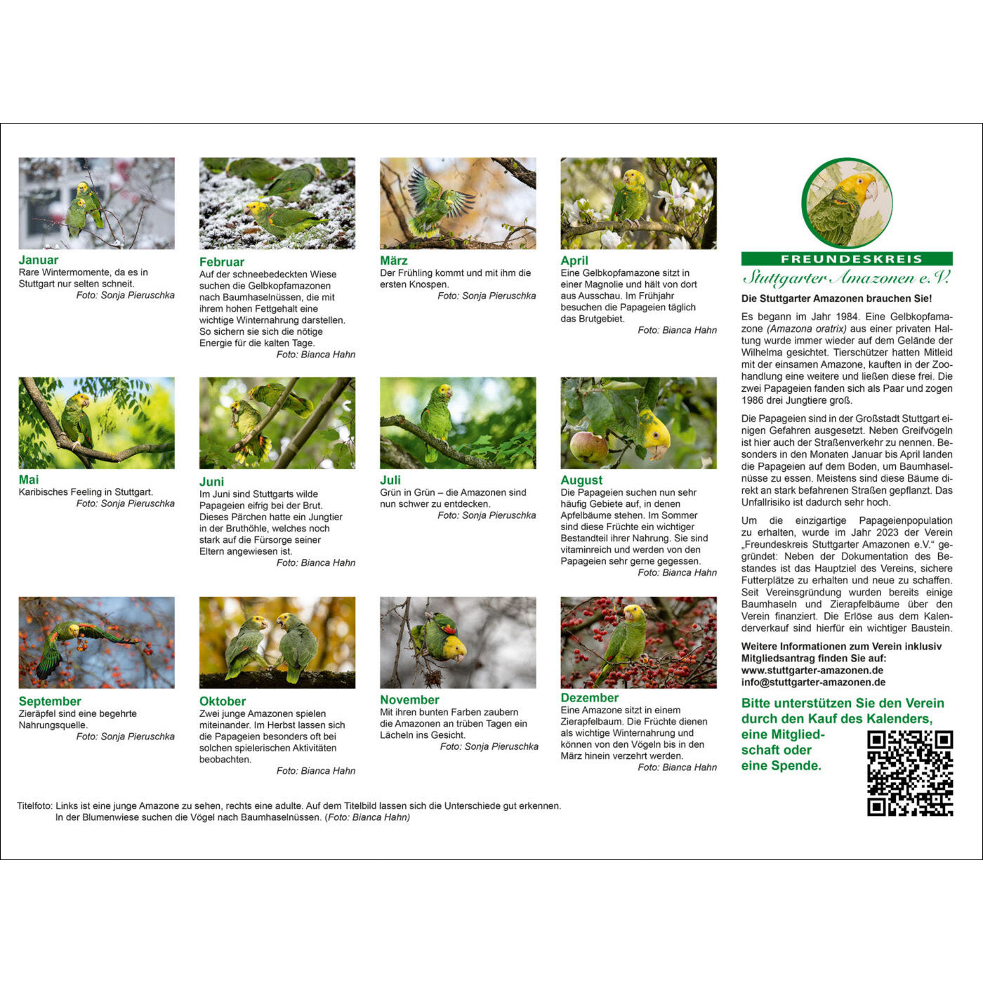 rico-s-futterkiste-stuttgarter-amazonen-kalender-2026-a3 image 2
