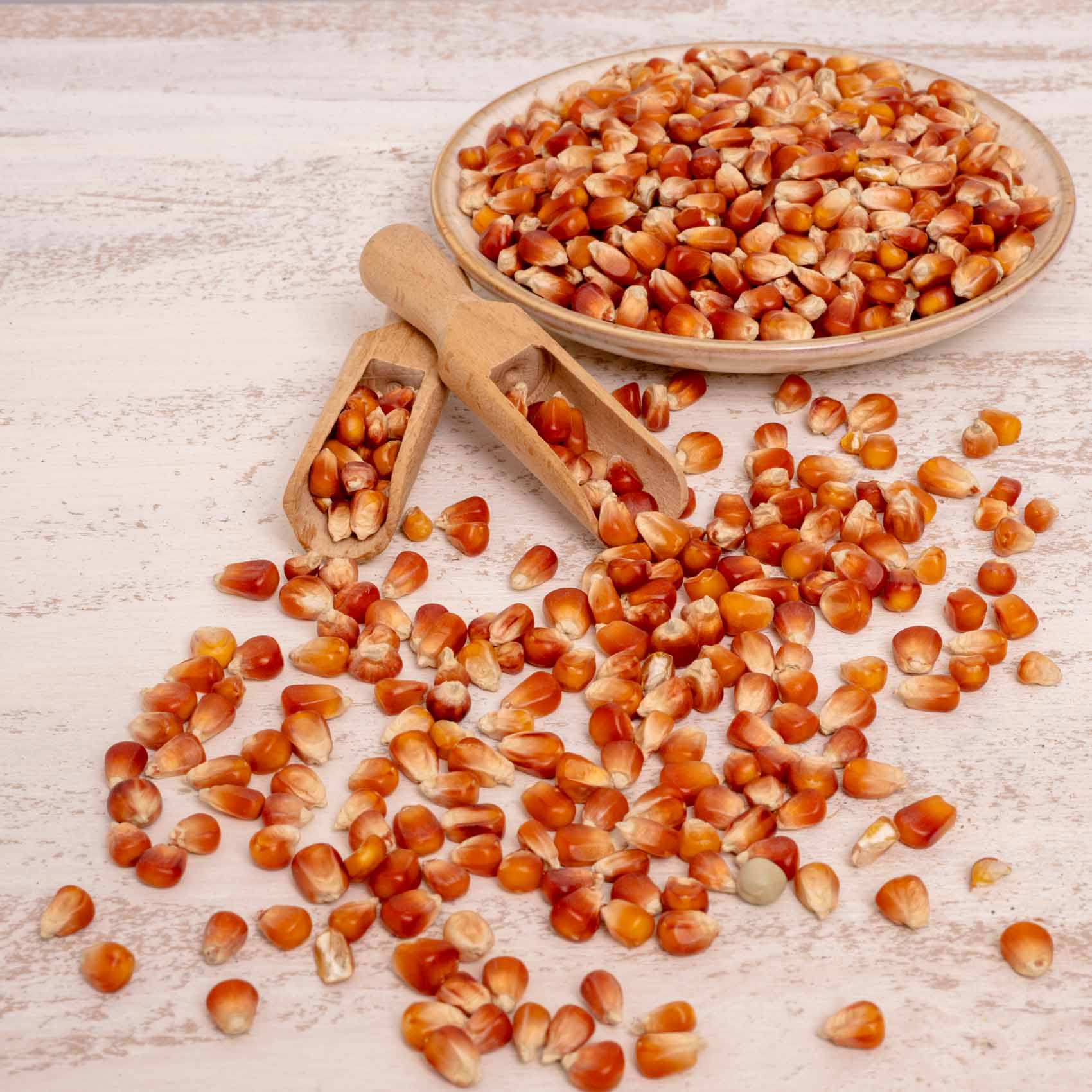 rico-s-futterkiste-perlmais-rot-500-g-einzelsaaten-papageien image 3