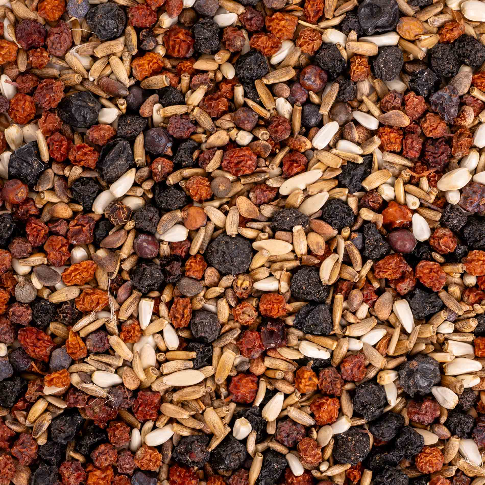 rico-s-futterkiste-baumsaat-spezial-einzelsaaten-100-g-beeren image 2