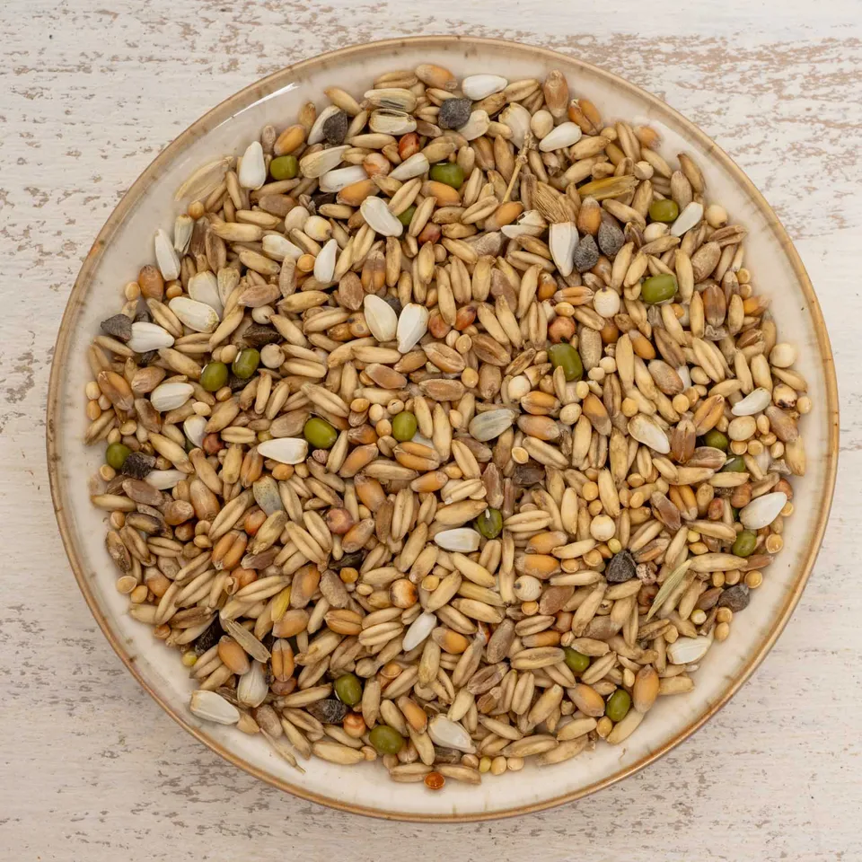rico-s-futterkiste-keimfutter-wellensittiche-500-g-vitaminreich image 1