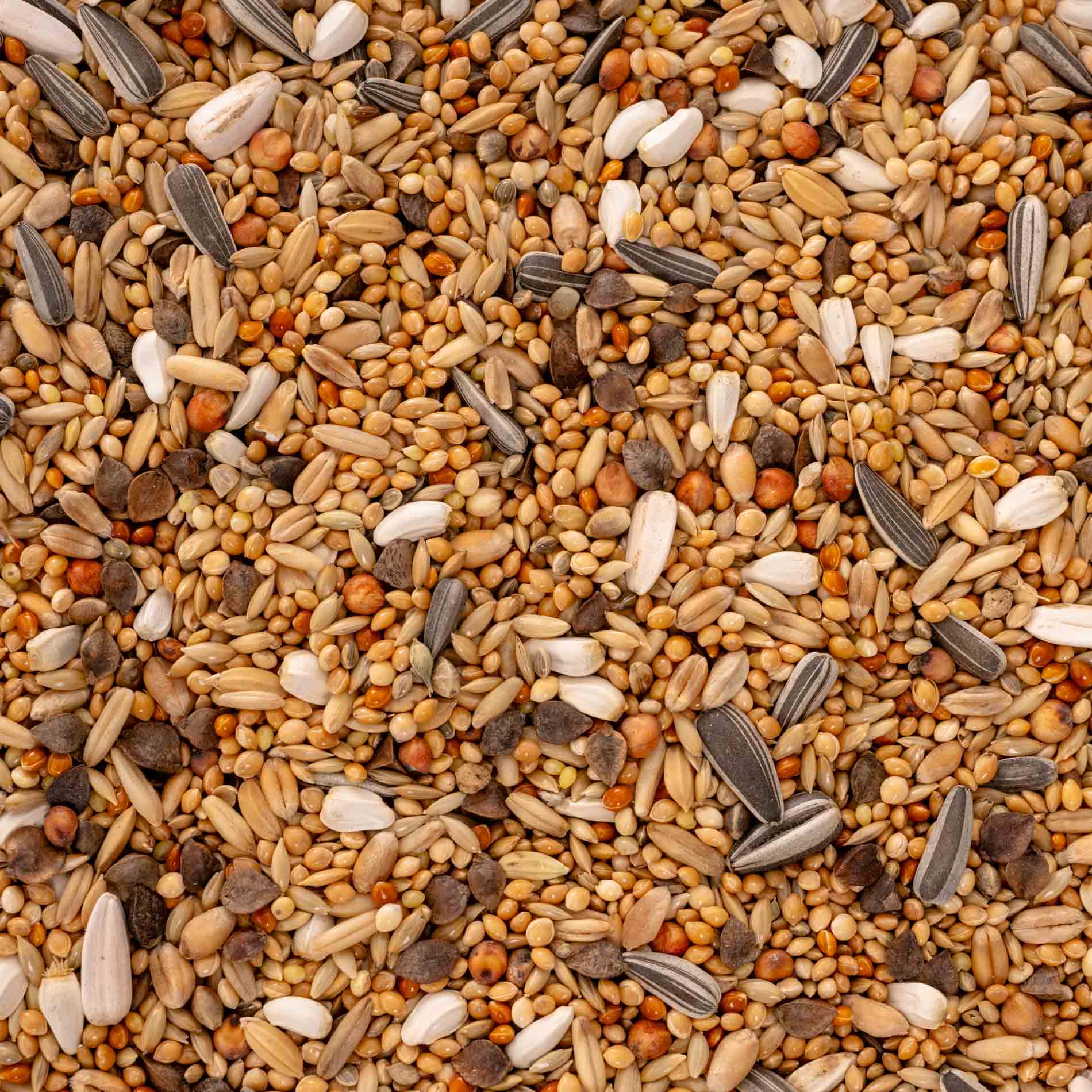 rico-s-futterkiste-gro-nymphensittich-spezial-1-k-rnermischung-1-kg image 3