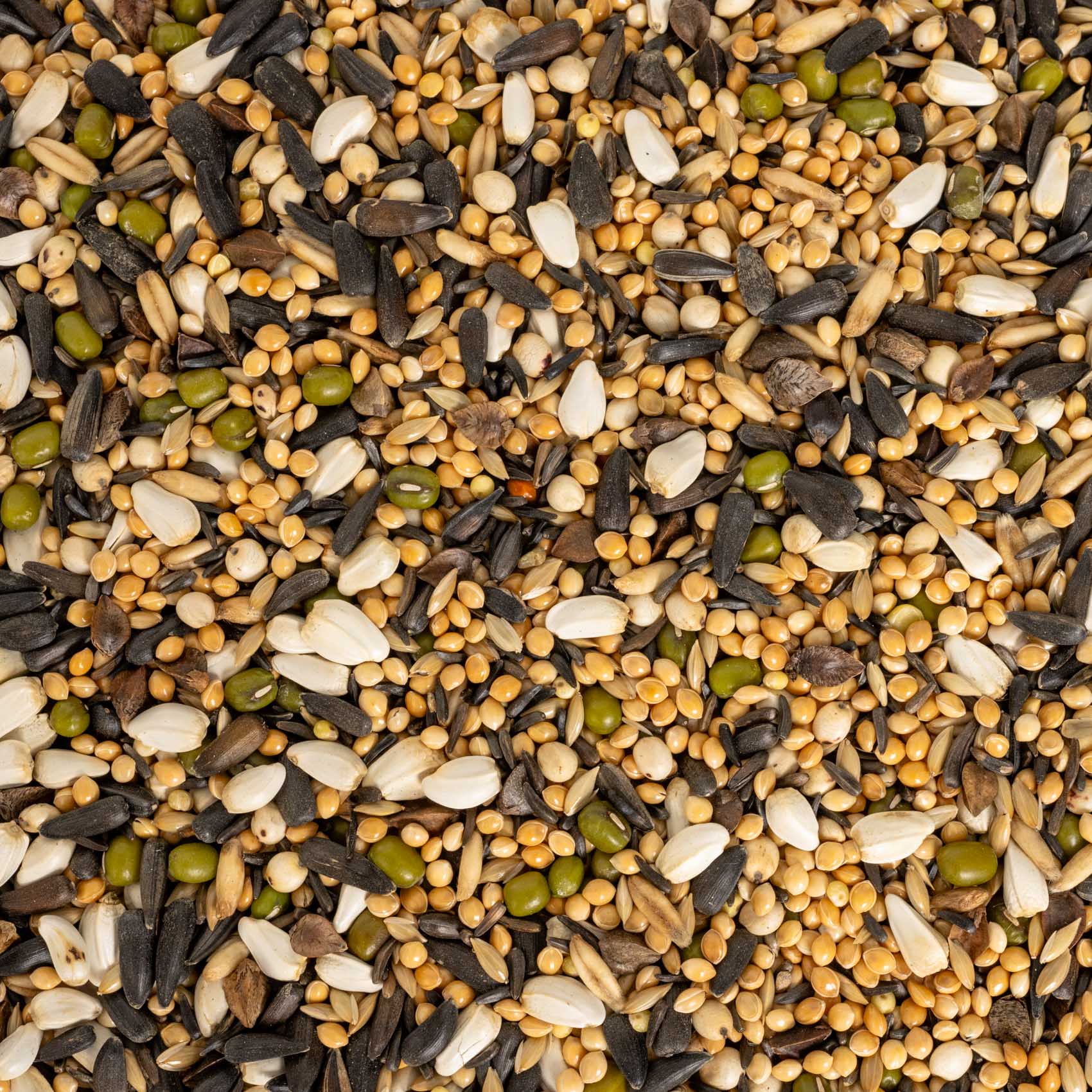 rico-s-futterkiste-keimfutter-kleinsittiche-vogelfutter-500g image 2