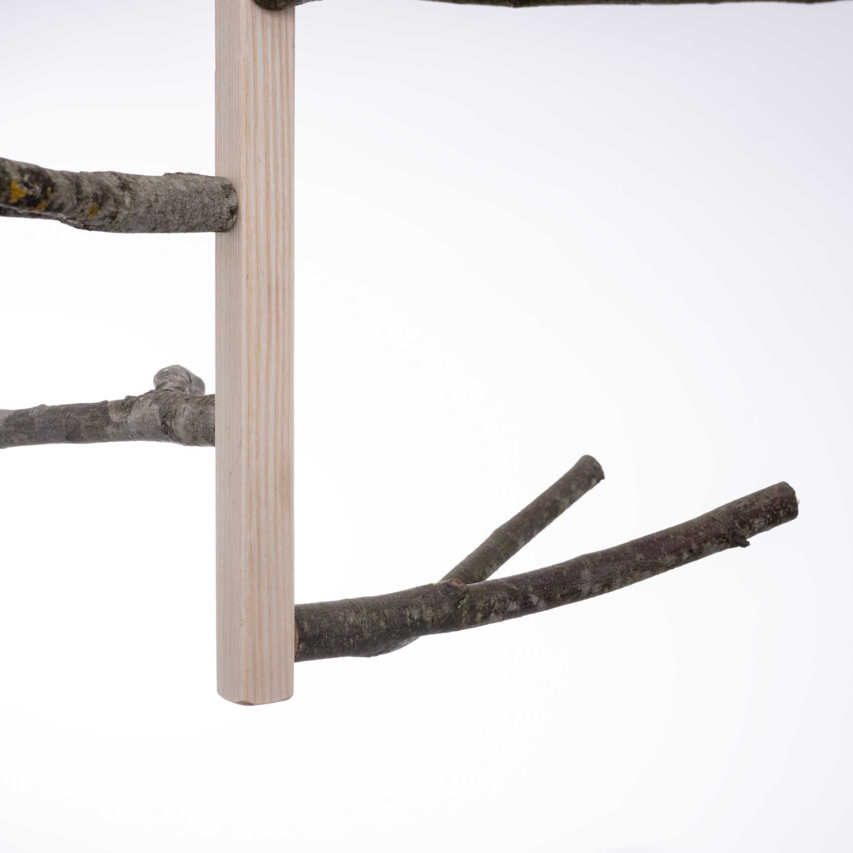 rico-s-futterkiste-sittichwirbel-gro-sittichspielzeug-naturholz image 4