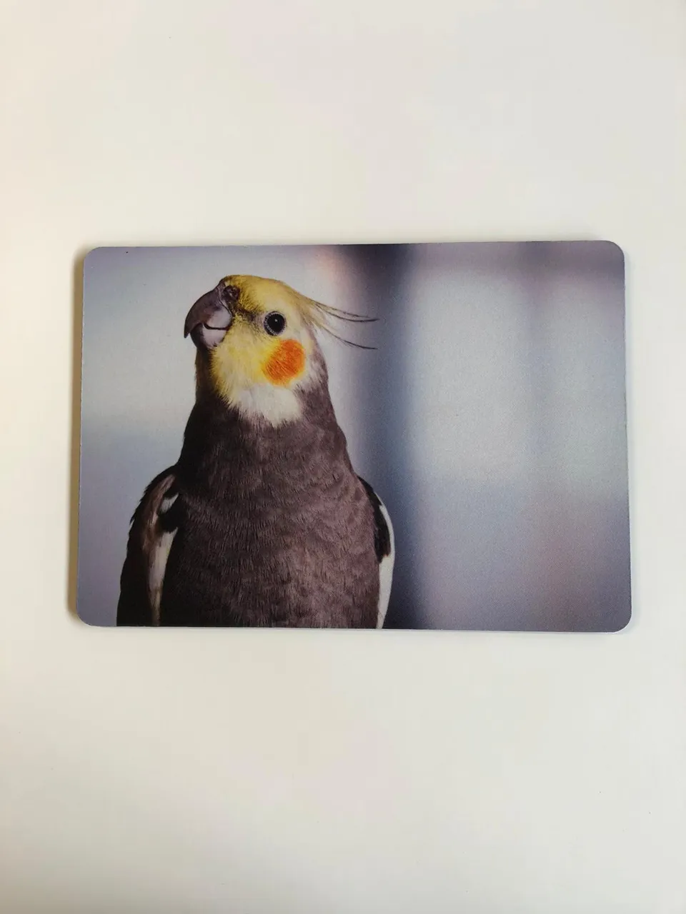 rico-s-futterkiste-tk09-mousepad-nymphensittich-27x19-cm-motiv image 1