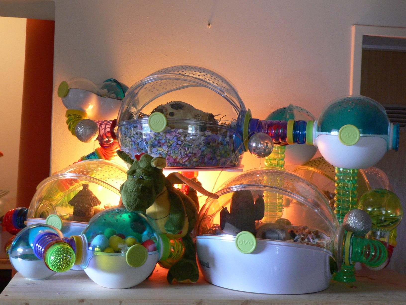 Bunte Erweiterung