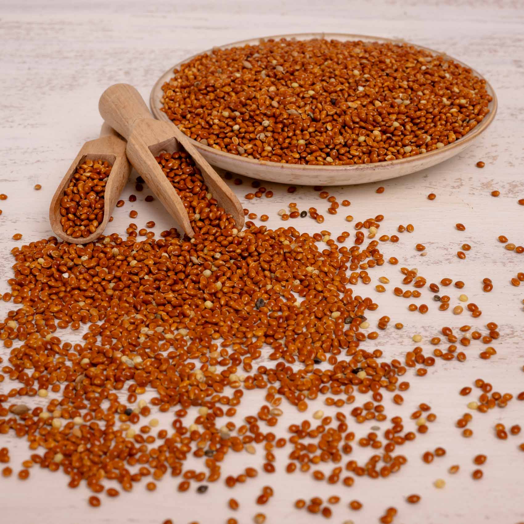 rico-s-futterkiste-rote-hirse-vogelfutter-500-g-lose image 3