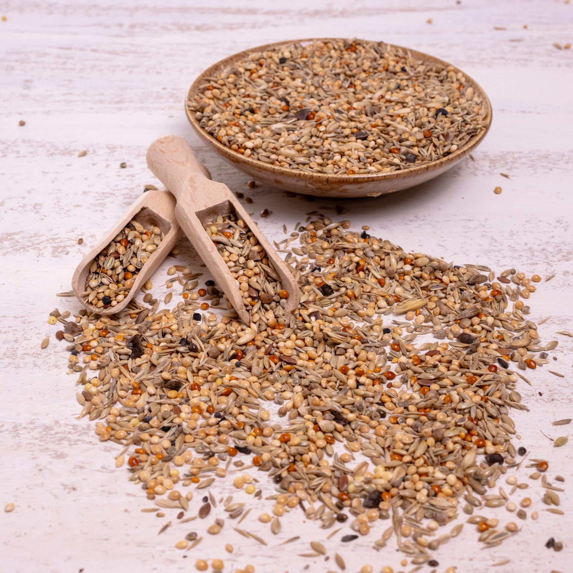 rico-s-futterkiste-gro-sittich-nymphensittichfutter-1-kg-o-sonnenbl image 3