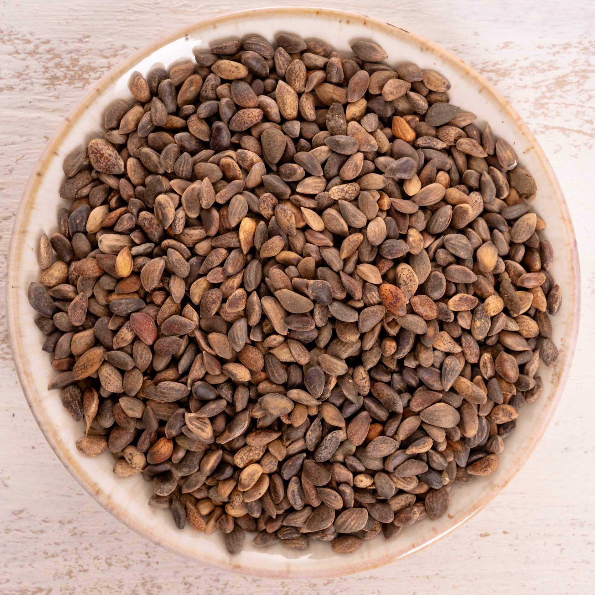 rico-s-futterkiste-einzelsaaten-baumsaat-vogelfutter-100-g-kiefernsaat image 1