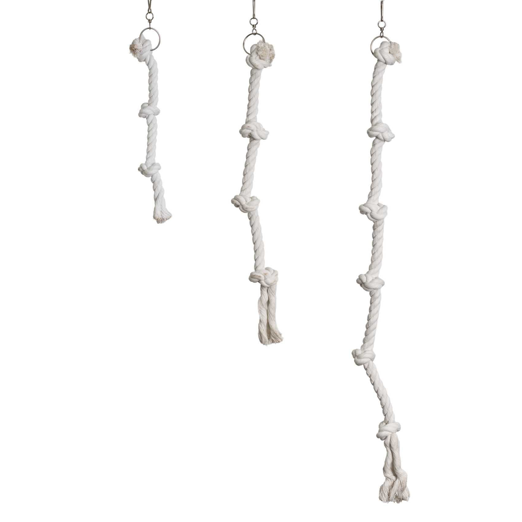 nobby-baumwollseil-6-knoten-lang-100-cm-vogelseil-sittich-papagei image 2