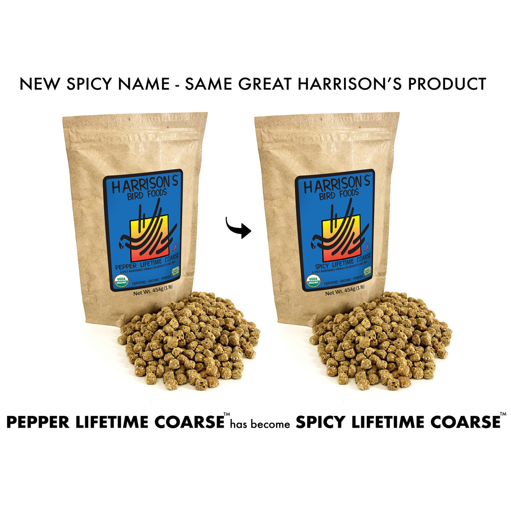 harrison-adult-lifetime-spicy-papageienfutter-grob-bio image 1