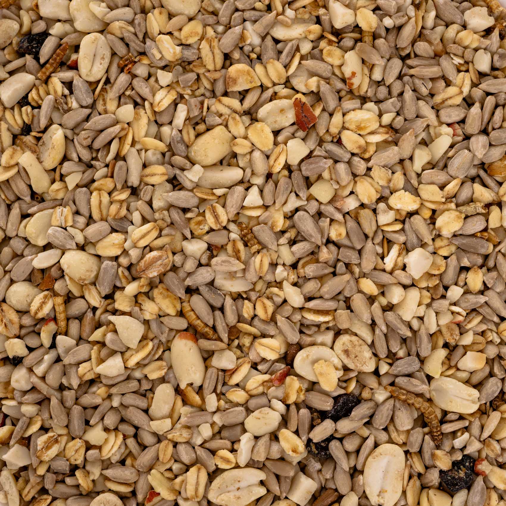rico-s-futterkiste-futtermittel-wildvogelfutter-schalenlos-1-kg image 2