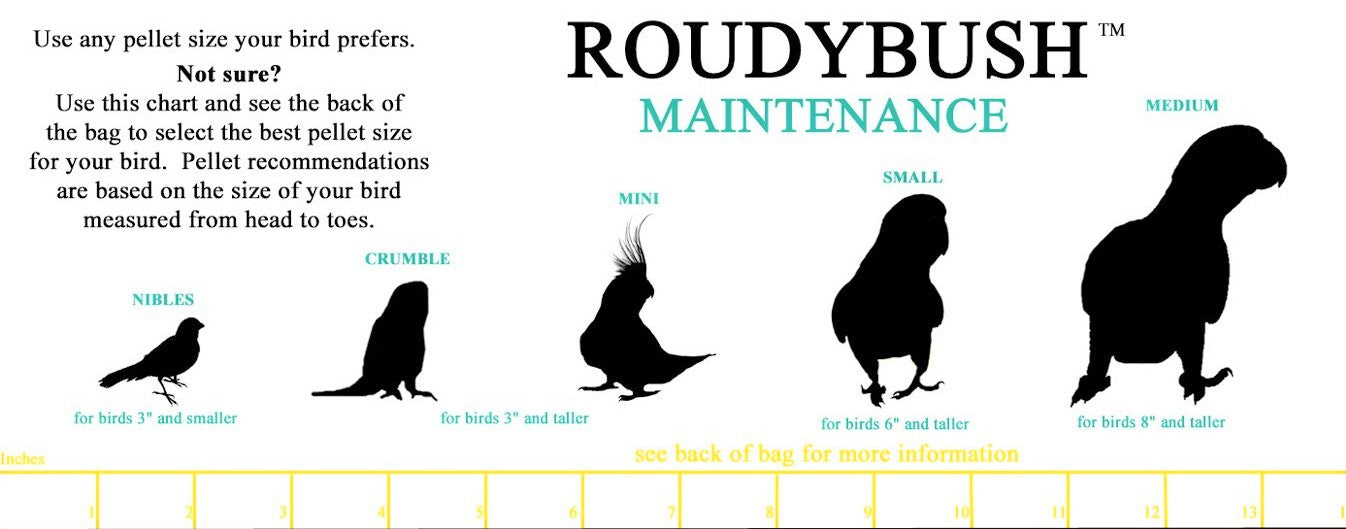 roudybush-maintenance-papageienfutter-pellets-mini-0-5-lb-allein image 3
