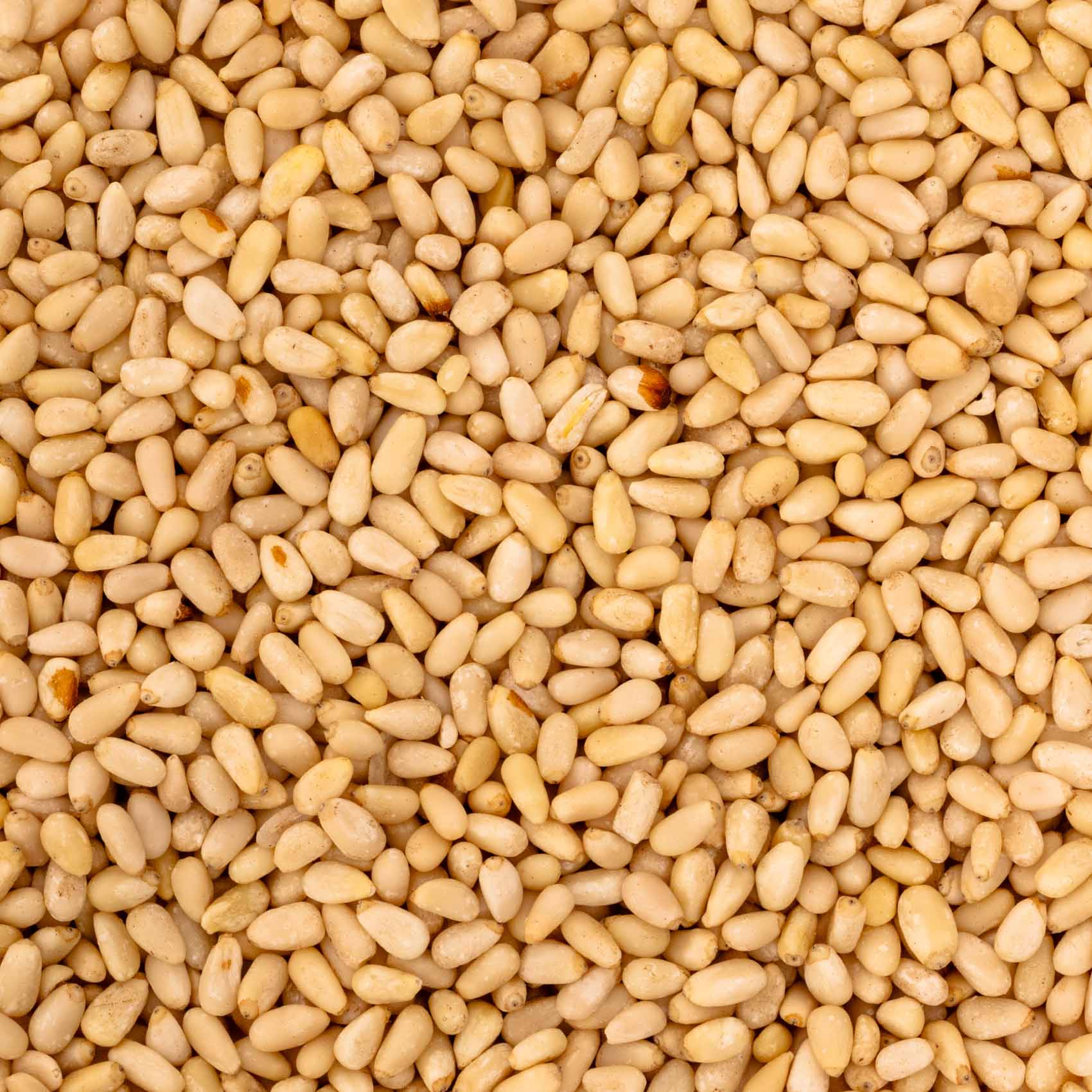 rico-s-futterkiste-pinienkerne-china-papageienfutter-100-g-selen image 2