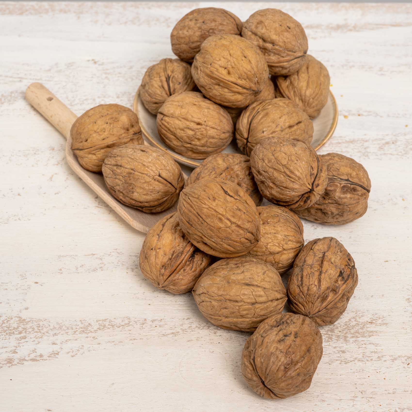 rico-s-n-sse-waln-sse-mit-schale-papageiensnack-250g image 3