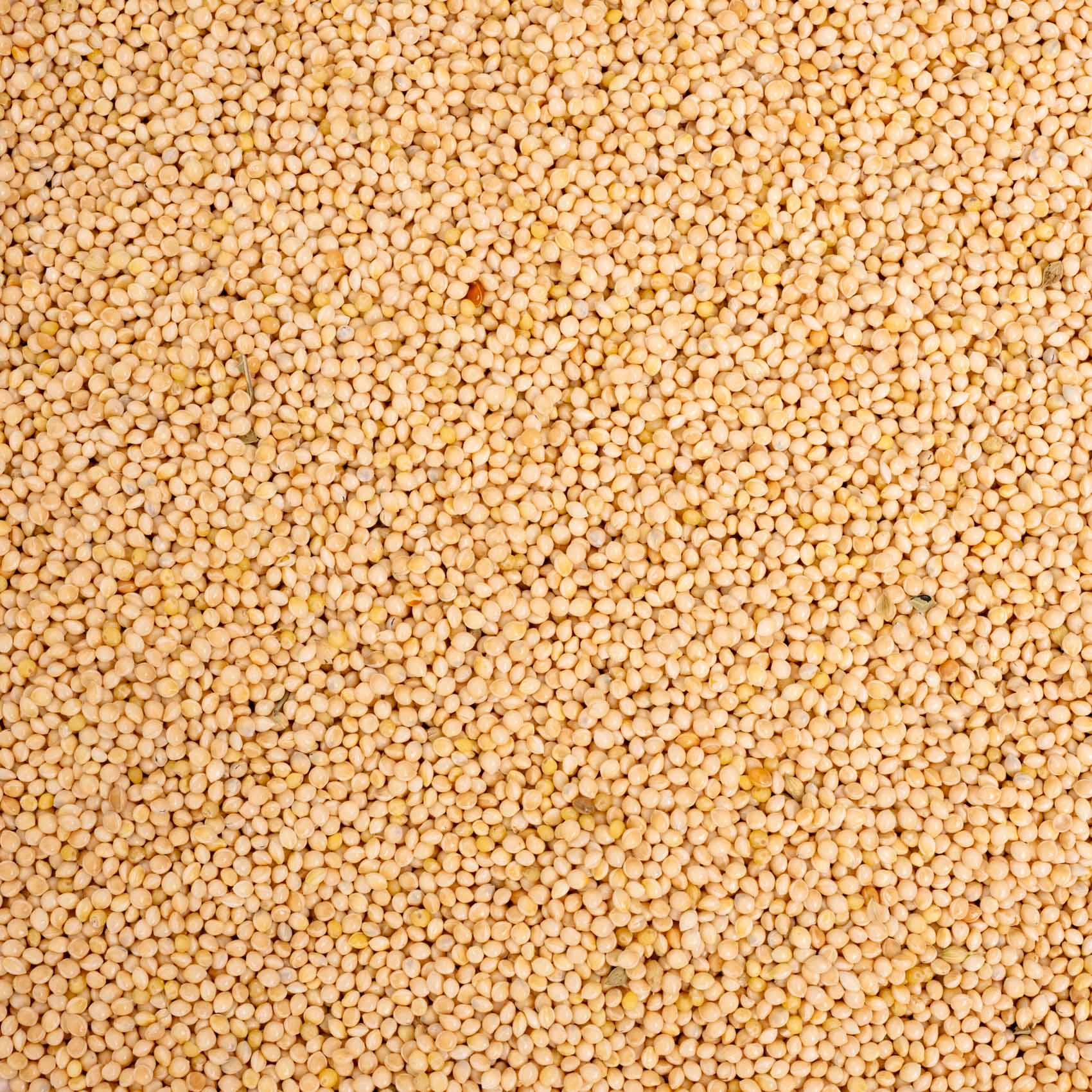 rico-s-futterkiste-silberhirse-lose-500-g-einzelfutter image 2