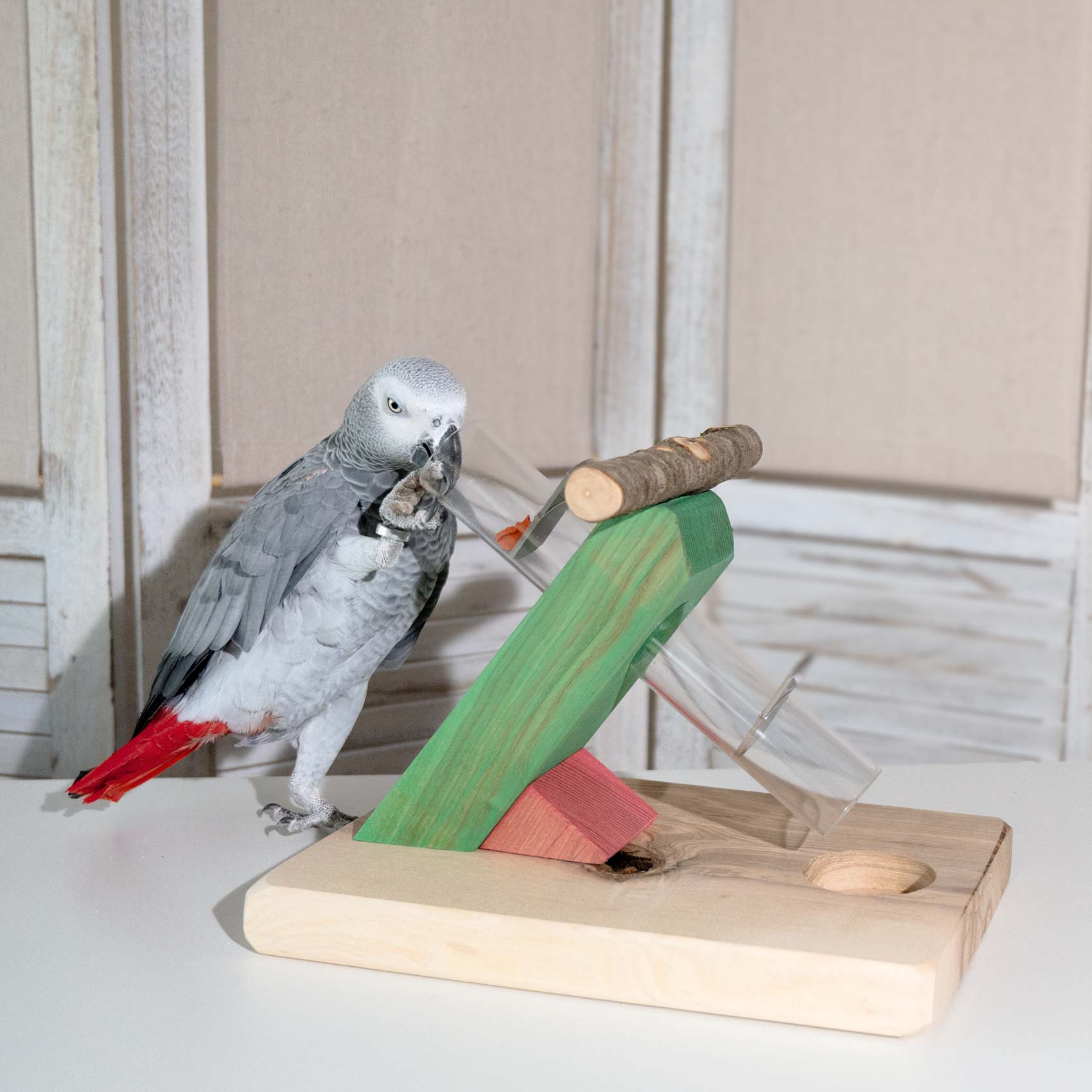 rico-s-futterkiste-leckerli-rutsche-intelligenzspielzeug-hartholz image 2