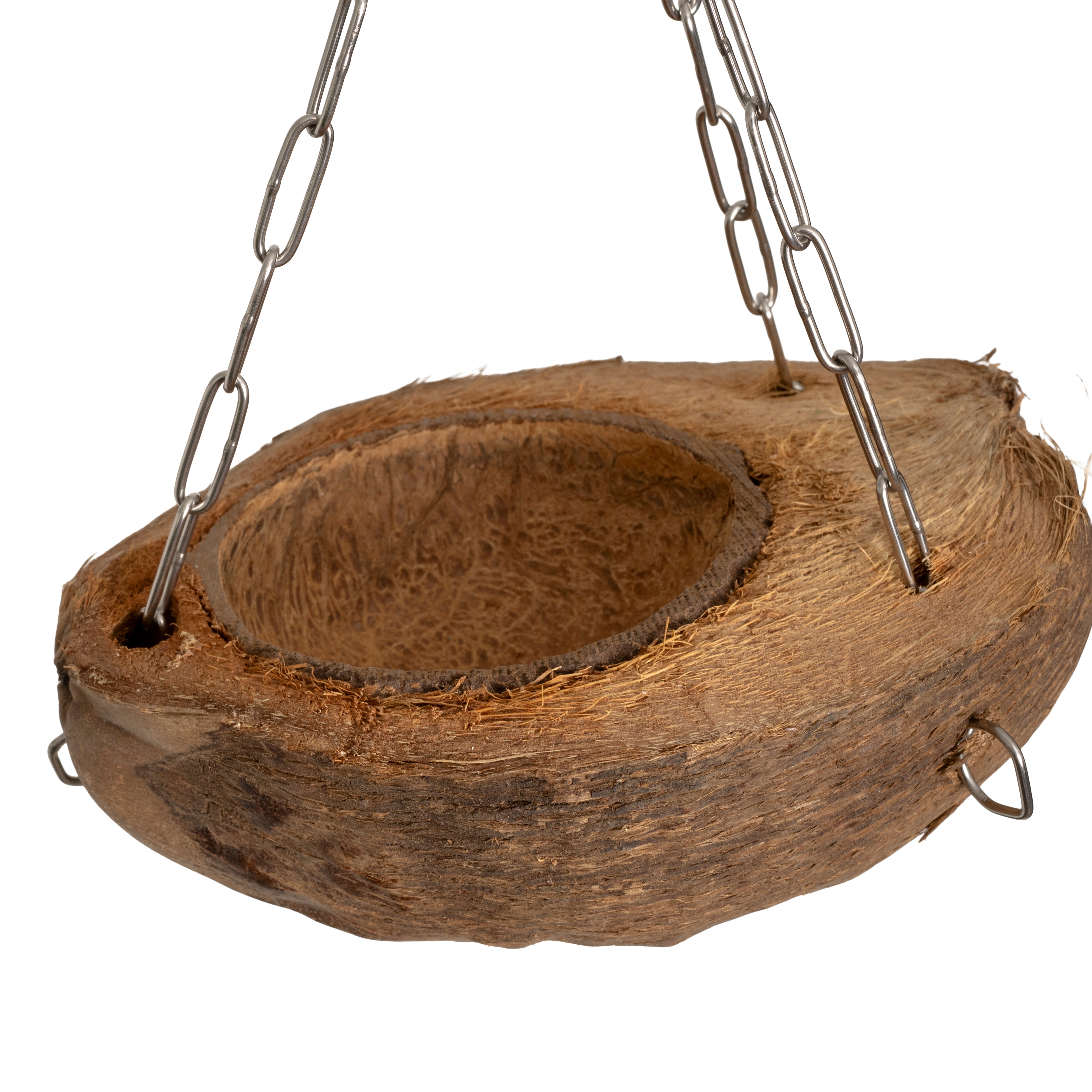 rico-s-futterkiste-mg1663-kokos-futterschale-sittich-25cm-natur image 3