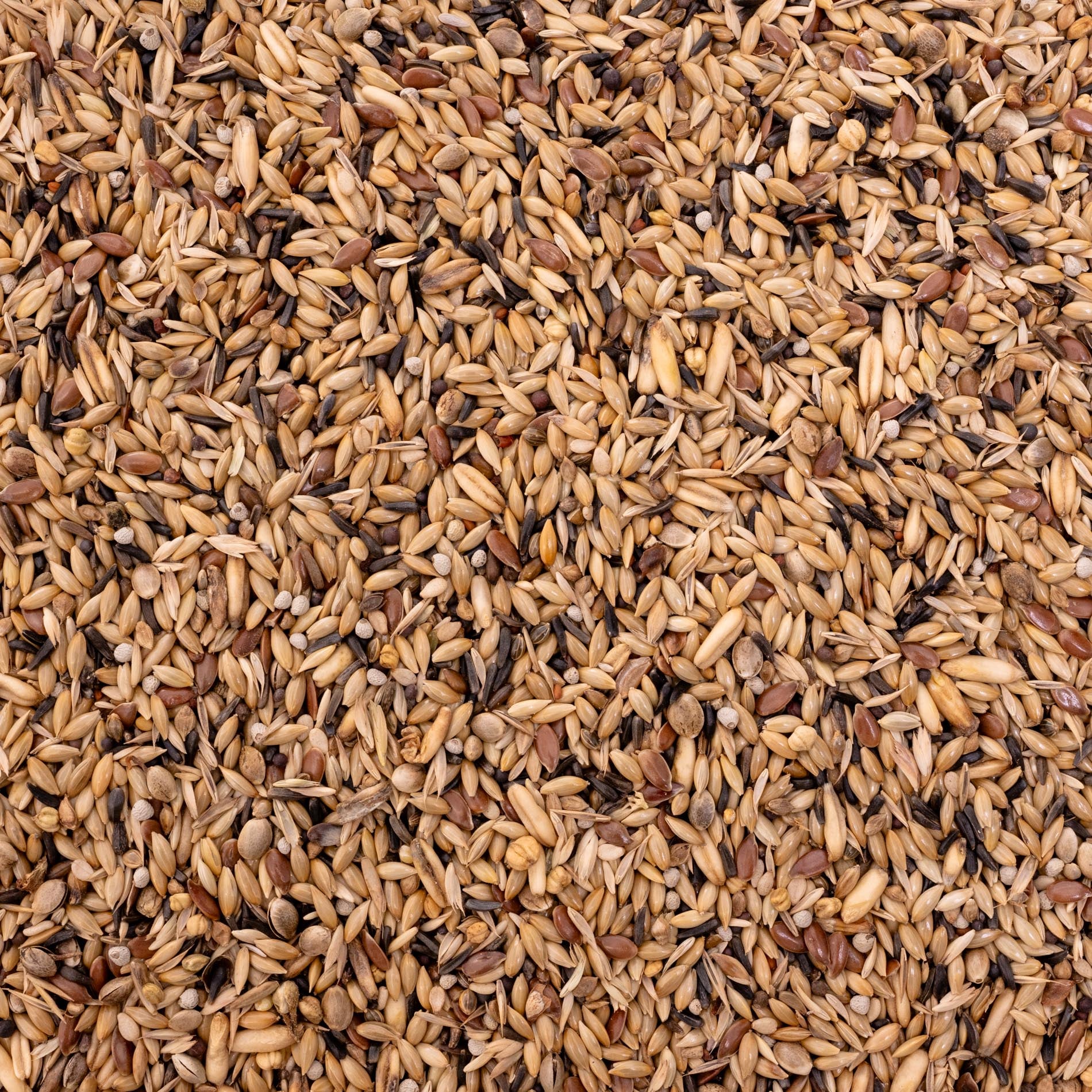 rico-s-futterkiste-kanarienfutter-500-g-vogelfutter-mit-glanz image 3