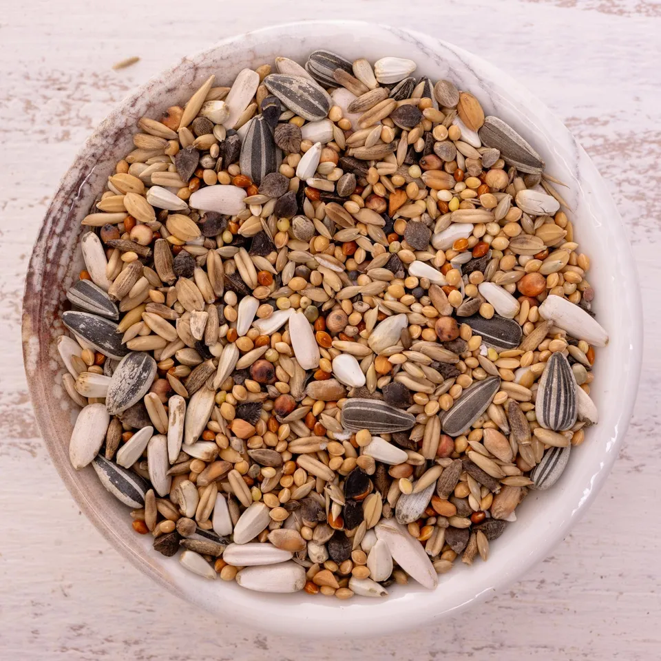 rico-s-futterkiste-gro-nymphensittich-spezial-2-k-rnermischung-1-kg-33-saaten image 1