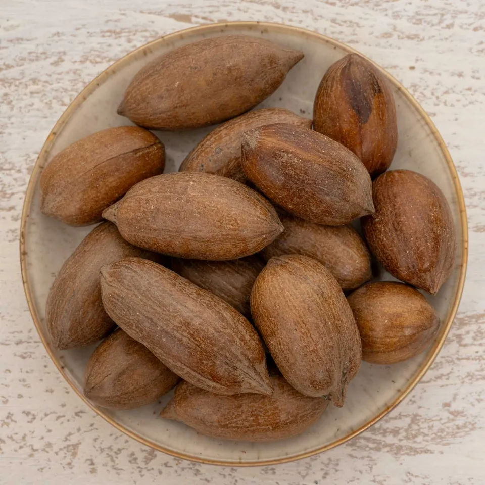 rico-s-futterkiste-pecann-sse-mit-schale-papageienfutter-400-g image 1